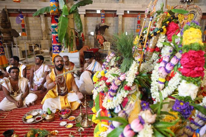 20180414 Photo 1808 1QjWCretgC7rO3fVBbuBaDFlq 7jIBl7B.jpg