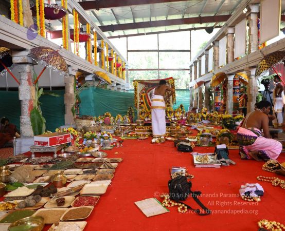 20180414 Photo 1811 1vwCmz2uMiAjFHw6n-uaWMM4QZi8N7CQt.jpg