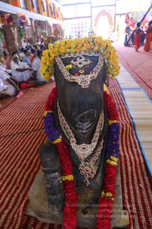 20180414 Photo 1908 1dNiWV6btiCB0 C bVV3emwra2BWfvuit.jpg