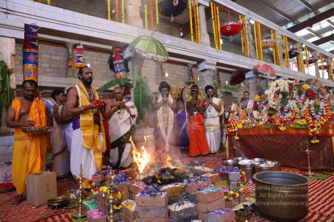 20180414 Photo 2050 1ANSW2u10J7mctXojfvN2TmY Tqe4wUwV.jpg