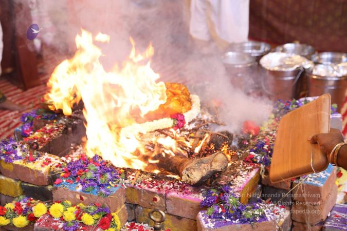 20180414 Photo 2173 1GeOoivIoB9Dd1si3eBBC MQHcx4wHhI7.jpg