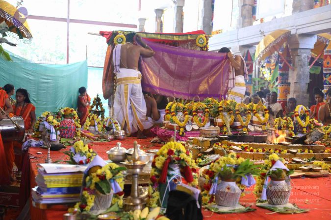 20180414 Photo 2245 1GyTUeC50b9Stj7EaGvAHc9eJ-XtAgwM8.JPG