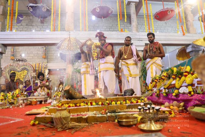 20180414 Photo 2353 1JvZO1ZaWtgI2ppcFVR6SGMHNZk4IX3Vx.jpg