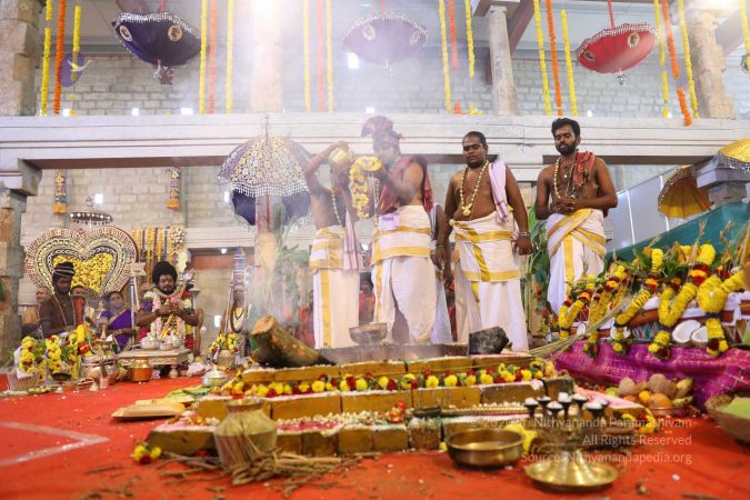 20180414 Photo 2354 1cy3CAFGvSN02LKkYJhix9pAGK95fGD97.jpg