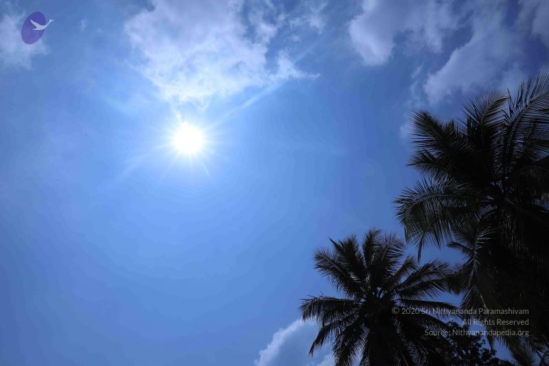 File:20180414 Photo 2532 1Cr5hJ-MH331Mm1AopzdhbRPmJgNDehBC.JPG