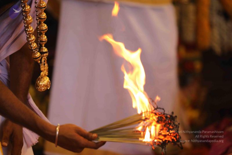 File:20180414 Photo 2550 14U67DJrZfUvhxj3IaeC0 4QwRHJxK45s.JPG