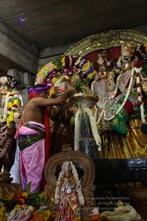 20180414 Photo 2613 1tsVzMxxbiOEVeteflF7SdZcXJOc9mEN6.jpg