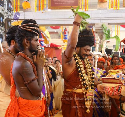 20180414 Photo 2656 160-SxXyzke2wrg7Zpd6FWlwVuPXYoydk.jpg