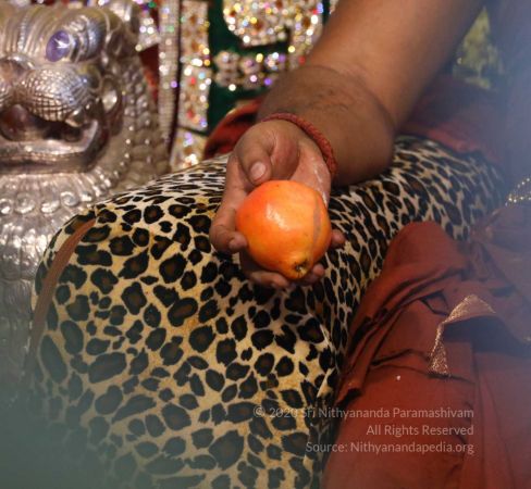 20180414 Photo 905 1-H4jxPzqY-YfDhRan9UbpUO6TE99qa9-.jpg