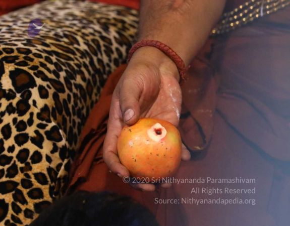 20180414 Photo 906 1ik4ZVG1DRFA9xl6xbM6cJJUS0iDssp8G.jpg