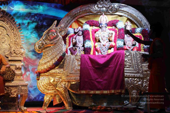 20180418 Photo 1132 1-91pxE2dcp2bpBAu0se4fORfhtNymuwe.JPG