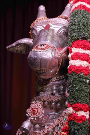 20180423 Photo 1043 13VFP-KATVtkVUYT528rdnjBcpNumBgEZ.JPG