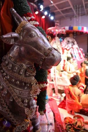 20180423 Photo 1176 1zqERWF7Q 30oxqcHmXimqda2cdPMljHN.JPG