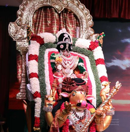 20180424 Photo 218 10Tz24Vh7wawlmdLHiyUg8Y1o1dRYPwLE.jpg