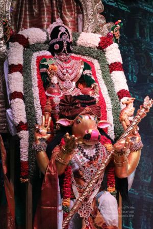 20180424 Photo 552 1iAxPmEJLNUy v42z-lBVfBIwPObCIrDh.jpg