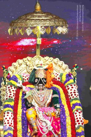 20180425 Photo 1027 1OBCIBveyV01pqiFCzydy QYx6bD37cZH.JPG