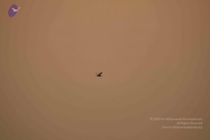 20180426 Photo 1124 18YgahgwCNxC0qZ V1iU Fn-6 oc1uP0M.JPG