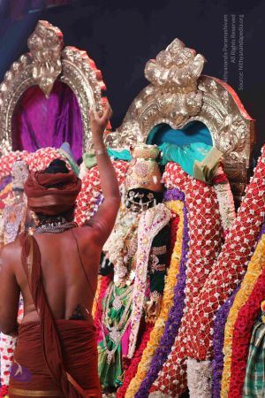 20180427 Photo 1040 1bko9--E1SdDSGxP7WlbQEiJBm0oSQtYL.JPG