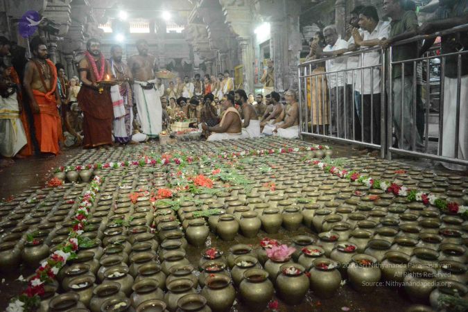 20180428 Photo 1005 1zPnkMs6TL2Vip8iAiUzZL0svQwgd77Oy.JPG