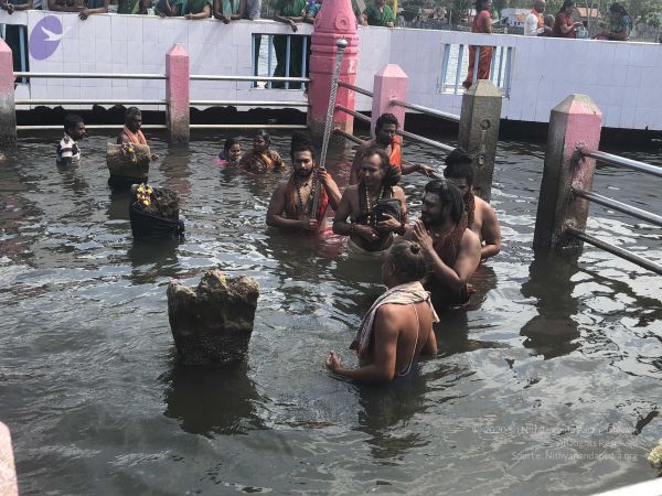 20180429 Photo 1381 1yuY7OtUxibyYkutjGTe25ZXeLgqUE74I.JPG