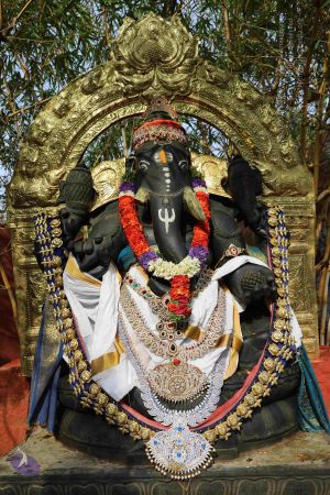 20180502 Photo 1004 1Xjws4 Z8BTsIQp1bXOLtDaeChprMOgPF.JPG