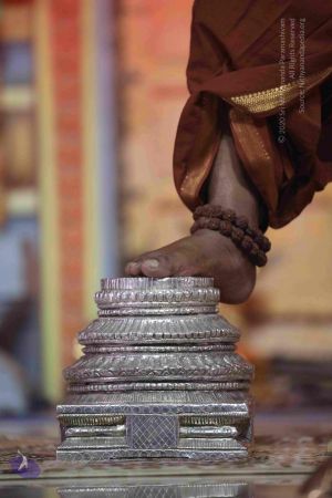 20180502 Photo 1051 1AYErJwEKou2TPujtJZGoIKsseL86PcET.JPG