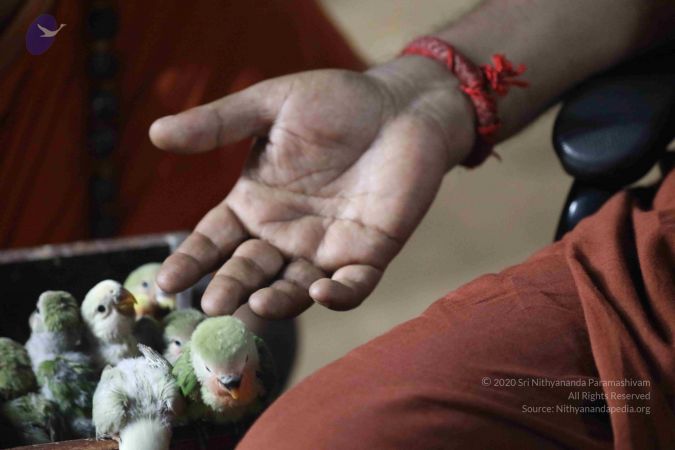 20180505 Photo 1001 16ELjqJtrk2 uLYG- 9ZM8wh oPQc72Fu.JPG