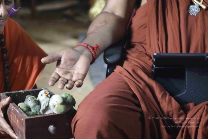 20180505 Photo 1002 1qyJCNIrtzmDER48Z1CHAILNr72X59FRq.JPG