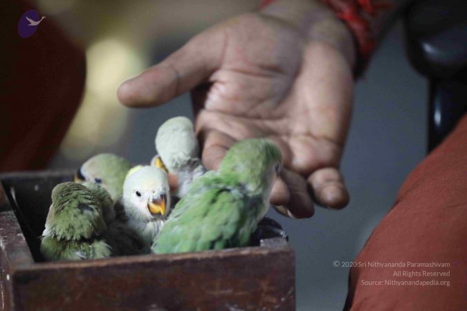 20180505 Photo 1003 184VrX wlf4KJY5bObSjNj1 trPq6xA3J.JPG