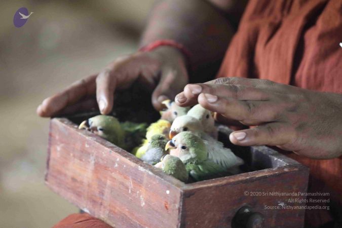 20180505 Photo 1008 1BHOK4VuKWLLt1Q4g6j8h0PCvgg3H3H2V.JPG