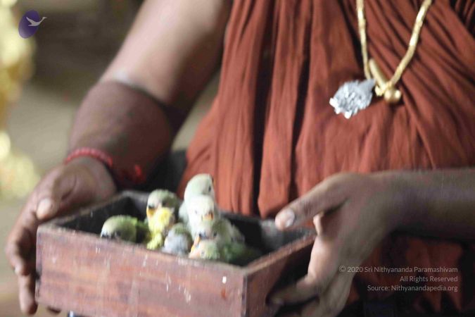 20180505 Photo 1009 1RgzlI6HLAtdNKOZK-jrzllPDKUa3HihF.JPG