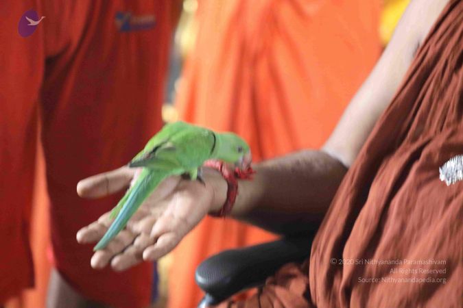 20180505 Photo 1011 1g1qXq KqKZVcbSOl1HB86y8WQDr4JVba.JPG