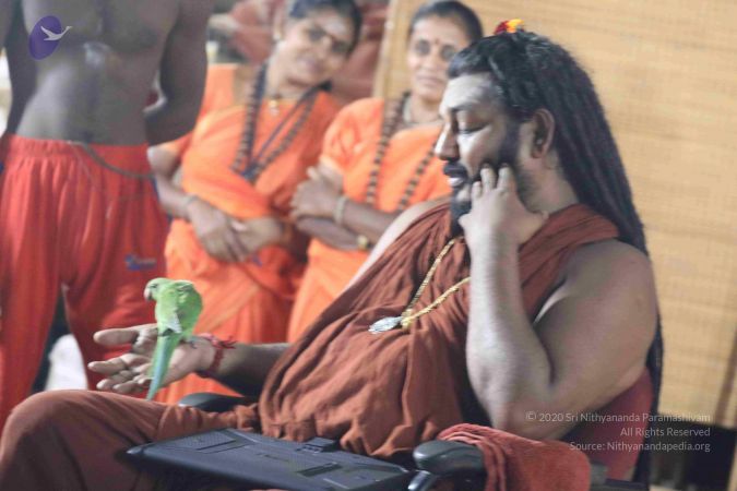 20180505 Photo 1012 1bQtyyBXILhS73j zJPn771IyZES1TcWD.JPG