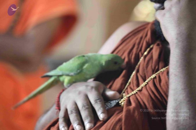 20180505 Photo 1016 1UCiXBLPeDxk6JGbysUjr4FcSLo0T-kSu.JPG