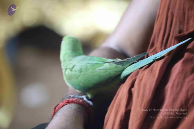 20180505 Photo 1017 19HK oCKse74HrEbw8GpC3T5qk VYRVEc.JPG