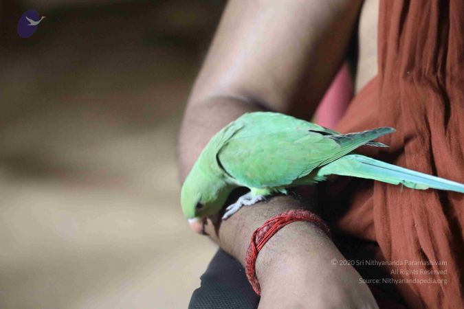 20180505 Photo 1018 1U2h5A28Hep-f8iunpzmZWQUa7XHw4V0A.JPG