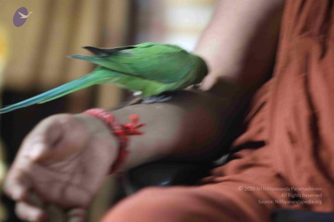 20180505 Photo 1019 1JWGa6MQE1fX0ARGQI8oDSe fJfebaKFq.JPG