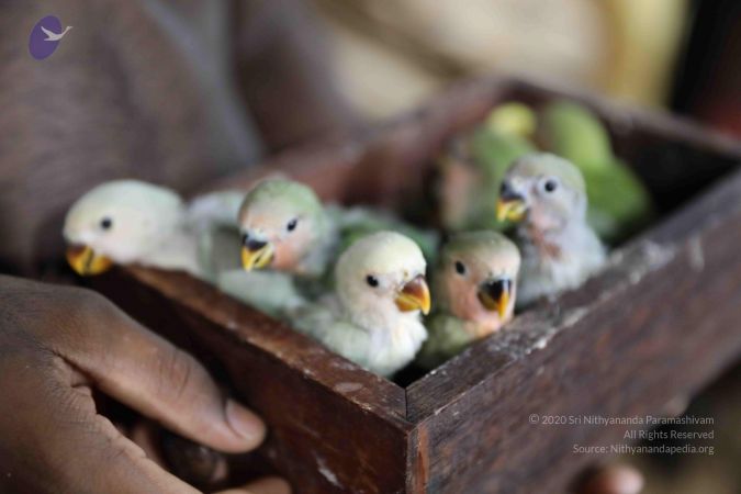 20180505 Photo 1045 1xAkZ3Gdldy7SQdR5fjmNgmiv1KON44tZ.JPG