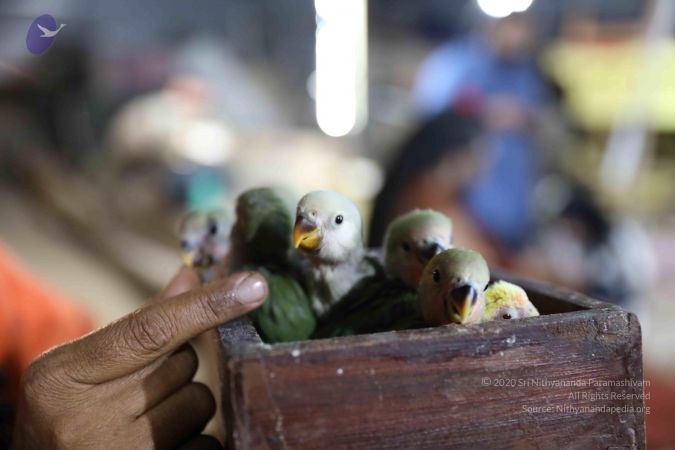 20180505 Photo 1046 16PX1kWglXN9mnUpQNu3AlWDxXYceJ2-F.JPG