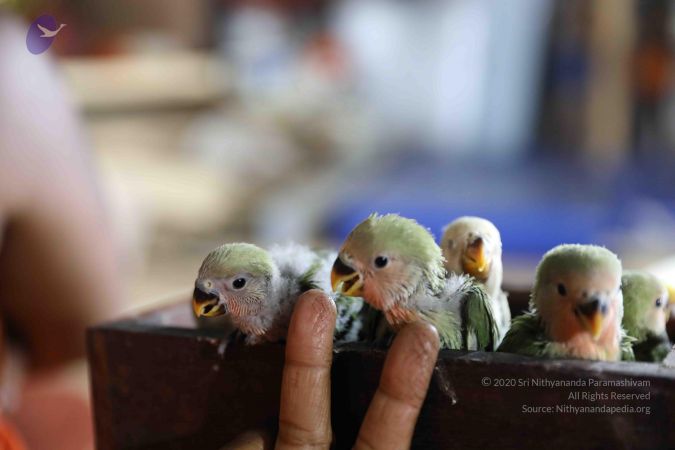 20180505 Photo 1049 1NkRmQJjqB 3ZjbZ9Bu8lBhijstWX7HRc.JPG