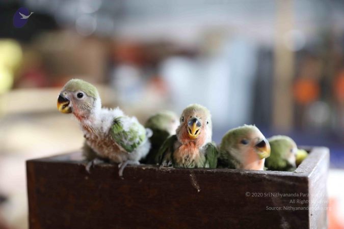 20180505 Photo 1050 1Xibohkt1mR6UBRH4fPgtuu0IlDNIZxfb.JPG