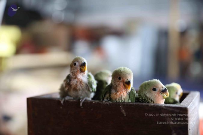 20180505 Photo 1051 1Xz9sWNdU6mtmkCJ6y0es4p WM8n-C5Ir.JPG