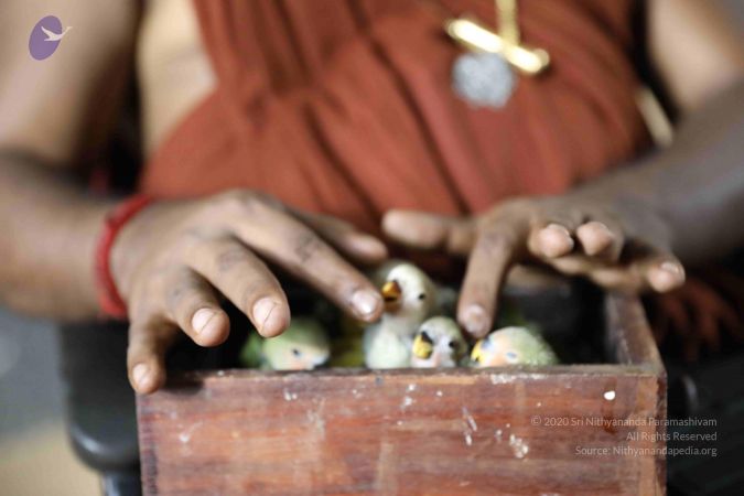 20180505 Photo 1071 1GtFTXYSKpxDbdpi9cVsJgvMByoxEgmJN.JPG