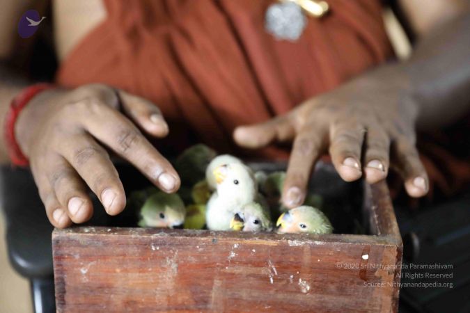 20180505 Photo 1072 1jodAP6MP66xTWwyE0k2RxB50wOk1vGyd.JPG