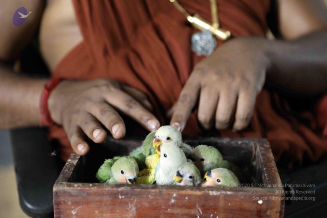 20180505 Photo 1073 1H6tb1YxqOJtv52nv--U4h4QnBn0uKkEi.JPG