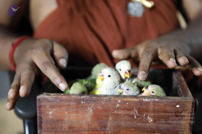 20180505 Photo 1075 1nE0PsEKY-ceCT9mhEhp13lT3uwrspMRZ.JPG