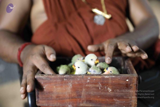 20180505 Photo 1077 1y15QkPlUYKFsM41rrVXEbwVgvV5hh -D.JPG