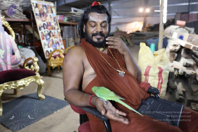 20180505 Photo 1084 1x3zir TdZnBXtyLXXShtDhMhz QGykND.JPG