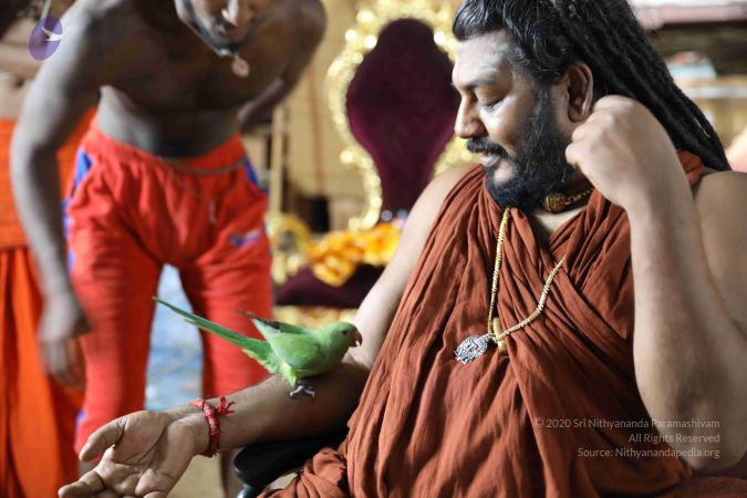 20180505 Photo 1098 1vKy9khROWKTt7gHJ7ikAeGS6x0w77TMG.JPG