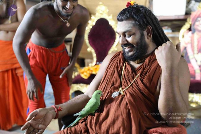 20180505 Photo 1099 1LJC6MBXTcYPU 3ujNJfkskrm5cp6g6x8.JPG